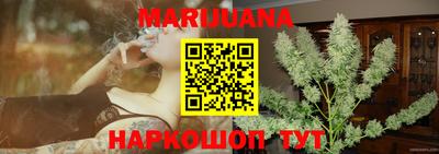 индика Тара