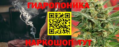 индика Тара