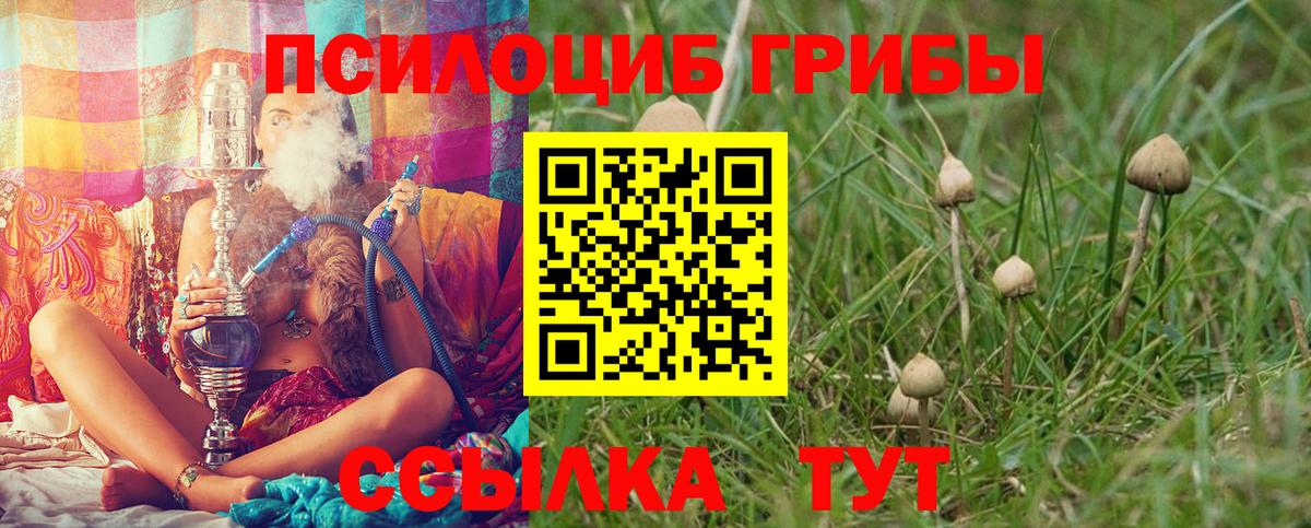Псилоцибиновые грибы мухоморы  Галлюциногенные грибы мицелий  Александров  Вход с VPN 