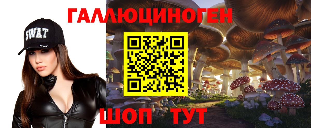Псилоцибиновые грибы мицелий Александров